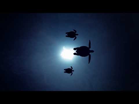 sound like melody Dalibor Daboff-Grabo Bakos and emmanoyhl Xpl editor video