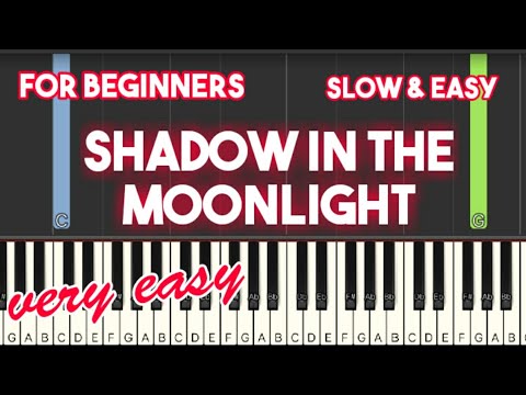 Shadows In The Moonlight - Anne Murray