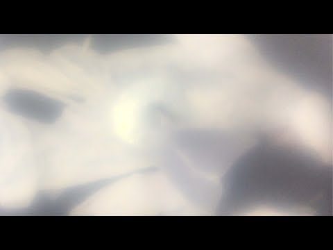 Trailer invisible reflection