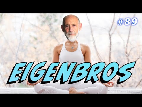 Eigenbros ep 89 - Wellness in Physics
