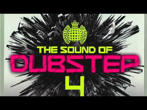 13 - Natural Disaster (Laidback Luke vs  Example) - Skream Remix - The Sound of Dubstep 4