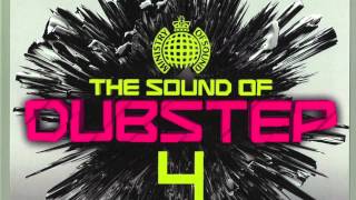 13 - Natural Disaster (Laidback Luke vs  Example) - Skream Remix - The Sound of Dubstep 4