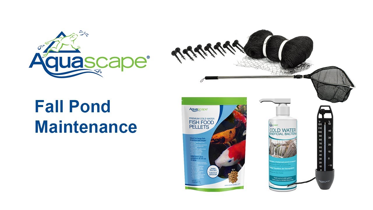Aquascape Video
