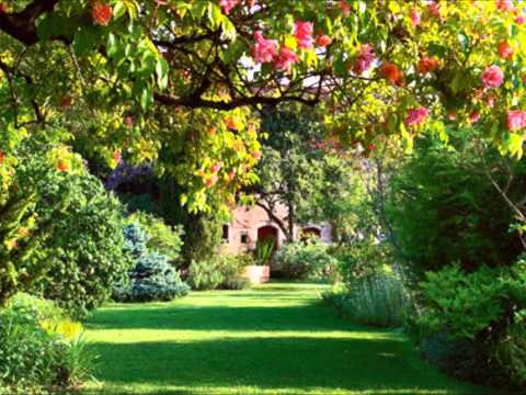 Emotional Horizons - Lush (Flawless Falling) (D-Mark & Elitist Remix) (Set Rip)