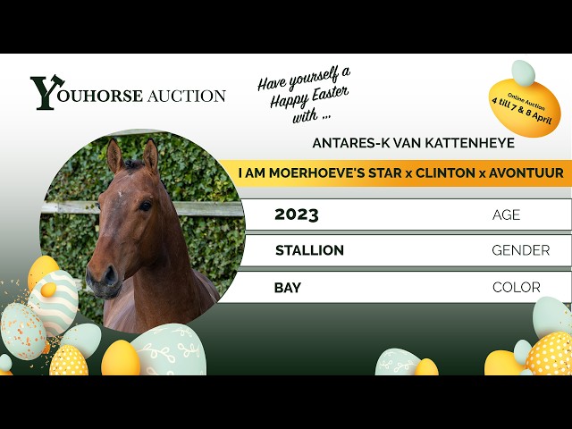 Antares K van Kattenheye