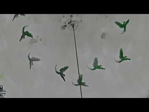 قبه و مقام سيدي بشر من الداخل  مسجد سيدي بشر الاسكندربه