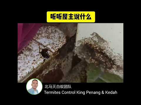 听听屋主说什么