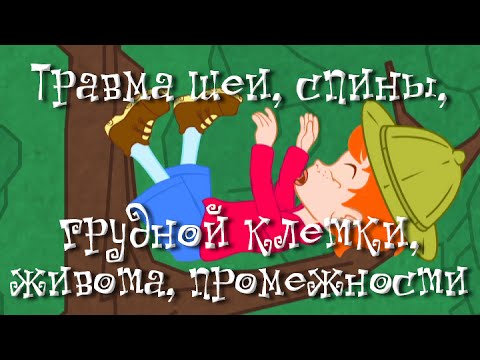 Повязка на икроножную мышцу от боли в спине Противовоспалительное гель при болях в спине