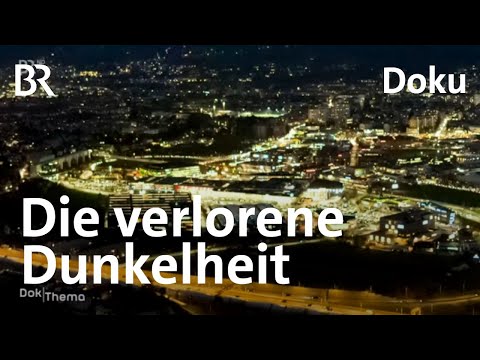 Licht in der Nacht: Die Folgen der Lichtverschmutzung für Mensch und Tier | Doku | DokThema | BR