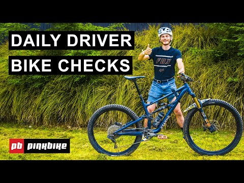 What Bikes Are Everyday Riders Riding? | Daily Driver Bike Checks