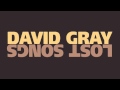 David Gray - "If Your Love Is Real"
