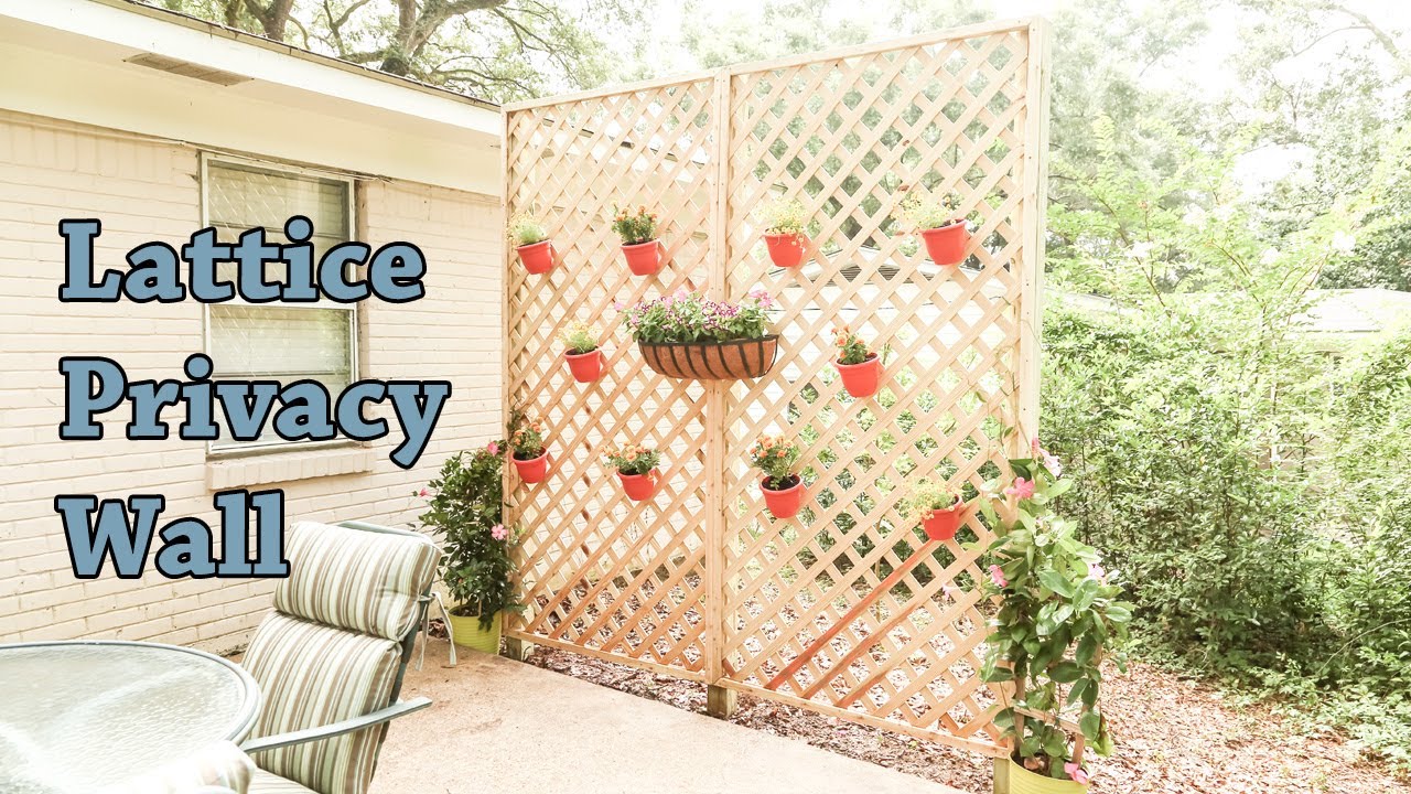 DIY Lattice Privacy Wall