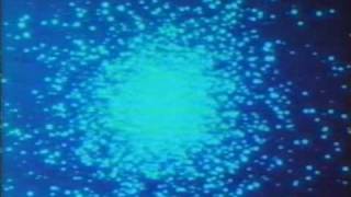 Fool&#39;s Gold - Nadine (Memory Tapes Version)