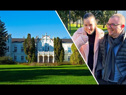 Dominika IS BACK and the Brunswick Caste in Martonvásár