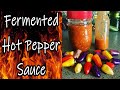 Raw Fermented Hot Pepper Sauce