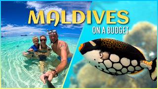 MALDIVES on a BUDGET in 2026: We show you HOW and where to go to find PARADISE! 🇲🇻