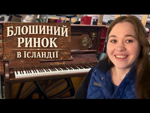 ICELAND 🇮🇸 DO I HAVE AN EASY JOB? LANGUAGE COURSES. Second-hand