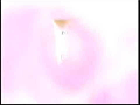 Pond's White Beauty Detox (Philippines) TVC 30's 2007 (Audio Version 1)