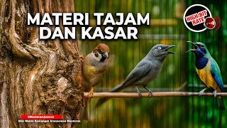 Download lagu 🔴 Live Cucak Cungkok Super Gacor Gacor Ngebreen vs Srigunting Abu Abu Nembak Greja Panjang mp3 Download lagu 🔴 Live Cucak Cungkok Super Gacor Gacor Ngebreen vs Srigunting Abu Abu Nembak Greja Panjang mp3