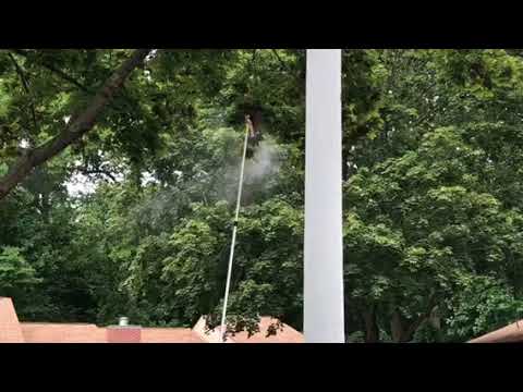 Hornets Above Mailbox Frighten Residents in Brielle, NJ