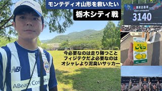 【Jリーグ】モンテディオ山形vs栃木シティの試合を観に行ったつもりが記憶では栃木市に関東・栃木レモンを飲みに行ったしかないサッカーvlog【サポーター】