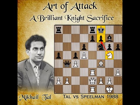 Mikhail Tal's Art of Attack | Tal vs Speelman 1988