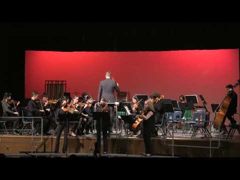WCI Senior Chamber Orchestra - Irish Junkyard Jam
