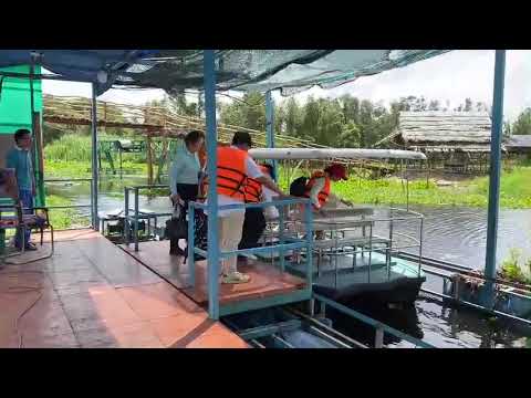 Water Cable - TAN LAP FLOATING VILLAGE