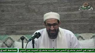 8 د – أبو الفضل الدمياطي – المجلس الثامن (الحاشية السنية) (ساحة الدح)