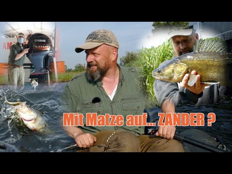 Matze Koch: The Zander Scarecrow Strikes Back! - Matze's Antics 06-2021