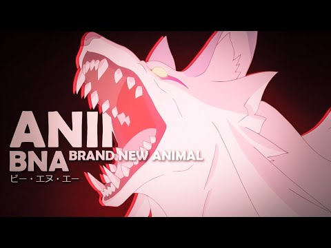 BNA: Brand New Animal「AMV」Animals ᴴᴰ