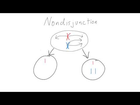 What is Nondisjunction?