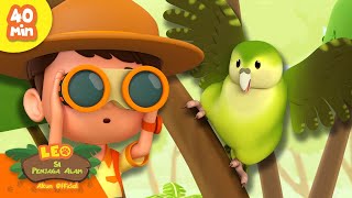 Download lagu Bisakah kamu menemukan Burung LANGKA?! 🔭🦜 | Burung Aktif | Leo Si Penjaga Alam | Kartun Anak mp3