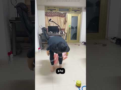 عندما تتظاهر الزوجة بأنها شبح