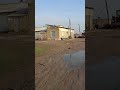Fermer xo'jaligi bazasi sotiladi Toshkent yaqinida - fotosurat 1