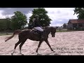 7 ans | Z | Comilfo Plus Z x Lupicor