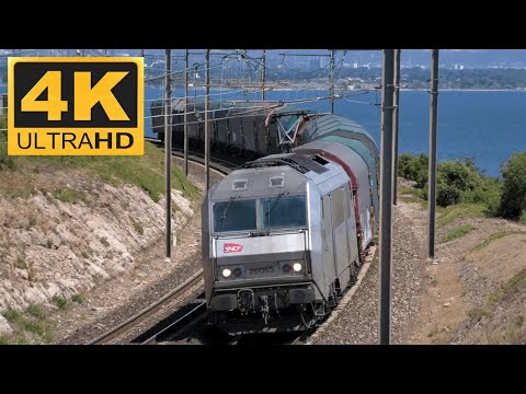 4K | Trains in South of France [Freight and High Speed Trains]