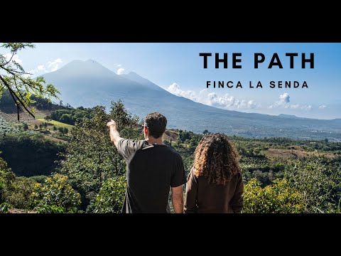 <p>“The Path” (Finca La Senda) thumbnail