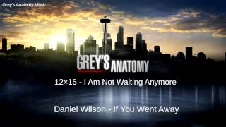 Grey&#39;s Anatomy Season 12 Episode 15: Daniel Wilson - If You Went Away