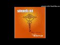 Salmonella Dub - Lightning -HD