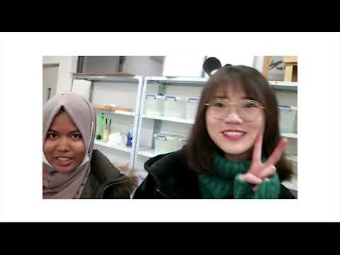 EP 1 Thai   China Youth Exchange Programme @Yunnan