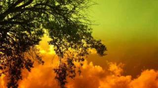 Download lagu Ajja  -  Tripmunch mp3