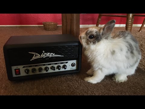 Diezel VH Micro First Impressions & Review