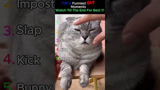 Top 5 Funniest Cat Moments 😂🐱 | Try Not To Laugh Challenge