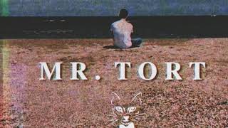 The Motans - Mr.Tort (DeeJay Sebastian Lake 2k18 Remix)