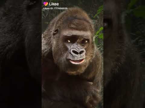 Hola bebé como estas