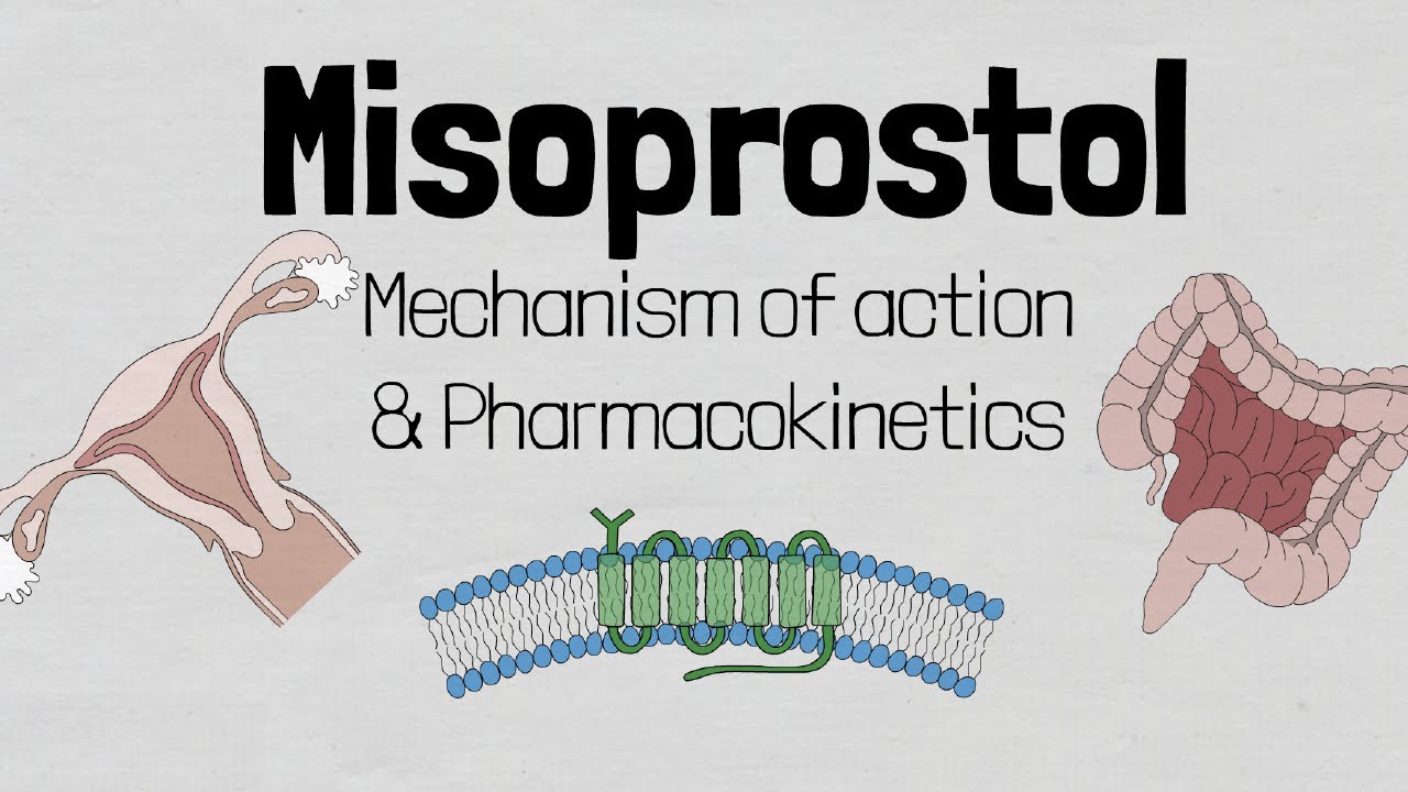 Misoprostol: Mechanism of action