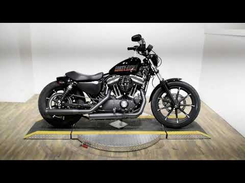 2021 Harley-Davidson Iron 883™ in Wauconda, Illinois - Video 1