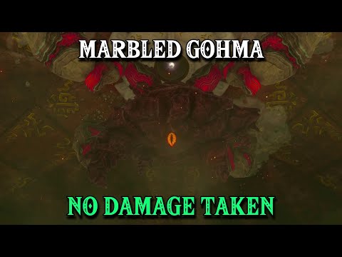 Marbled Gohma - NO DAMAGE, NO SHIELD, NO ARROWS | The Legend of Zelda: Tears of the Kingdom