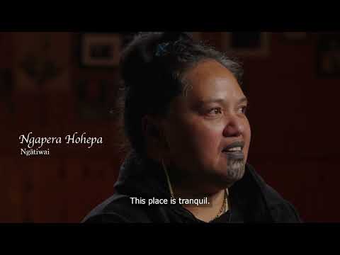 WAKA HUIA - MATAPOURI